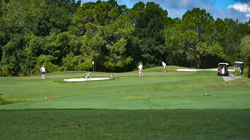 i morgen Alvorlig Rejsende Public Home - Tampa Bay Golf Country Club